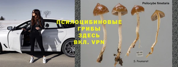 гидра Армянск