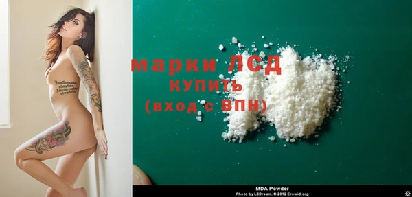 ПСИЛОЦИБИНОВЫЕ ГРИБЫ Арсеньев